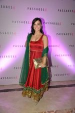 Elli Avram at Passages art event hosted by Palladium Hotel in Palladium, Mumbai on 26th Jan 2014